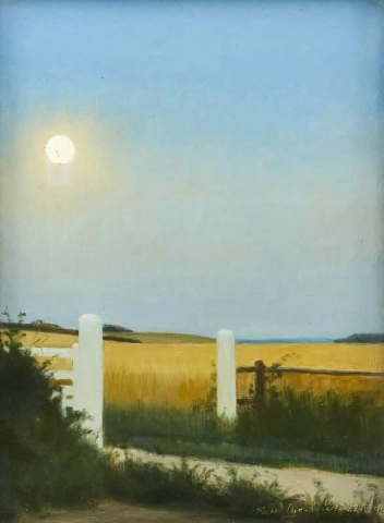 Een witte poort bij een veld bij volle maan 1894