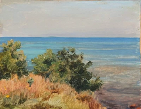 المشهد الساحلي من جزيرة آلس جنوب جوتلاند 1912