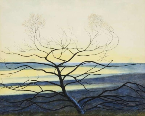 Silhouet van bomen in de winter Hoge Venen, ca. 1940