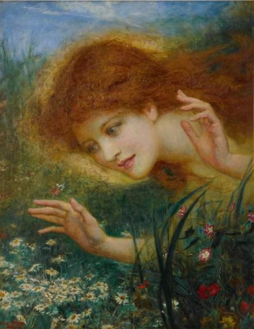 Discovering Daisies 1887-96