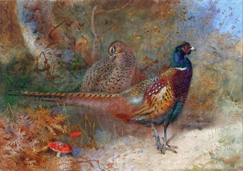 A Cock And Hen Pheasant 1929