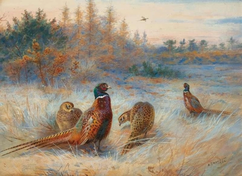 Autumn Dawn Pheasants 1934