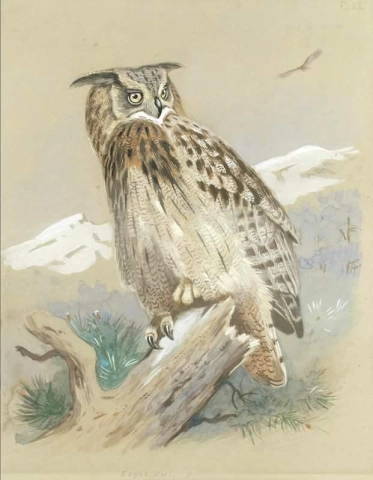 Eagle Owl 1916