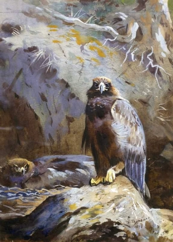 Golden Eagle Eyrie 1898