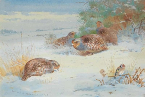 Patrijs en een distelvink in een winterlandschap, 1903
