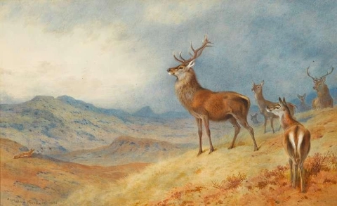 Cervo rosso in un paesaggio dell'altopiano 1908