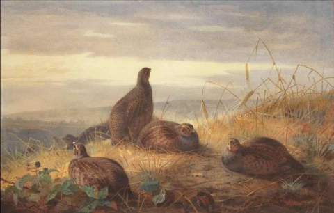 The Covey At Daybreak 1888