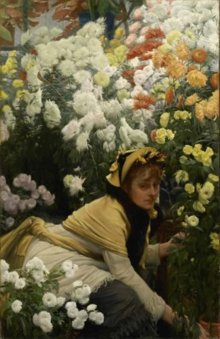 Chrysanthemums Ca. 1874-76