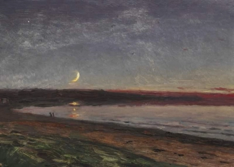 月明かりの海岸