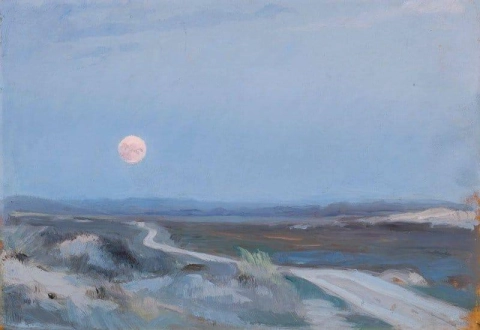 Landschaft von Stenbjerg mit Mond
