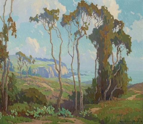 Eukalyptus Laguna Hillsissä