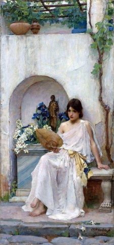 Флора 1891 г.