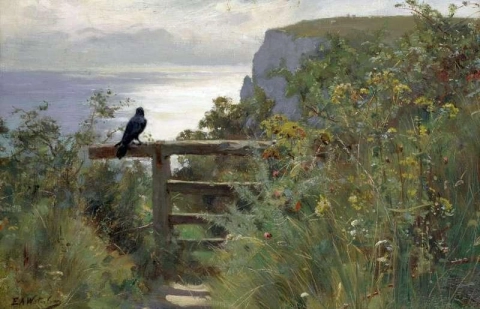 The Cliff Path