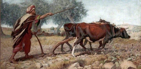 Plöjning av berget Sion Jerusalem 1863