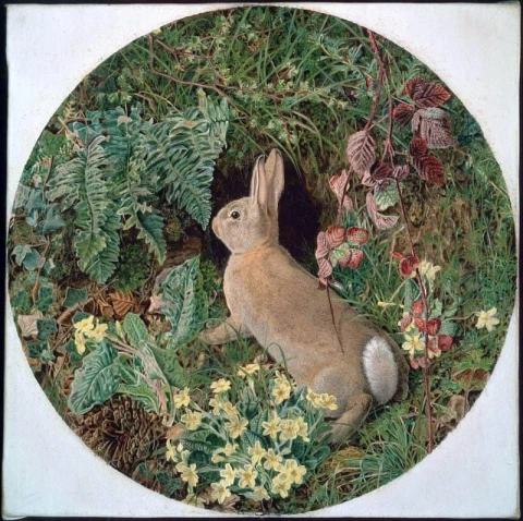 シダと開花植物に囲まれたウサギ 1855