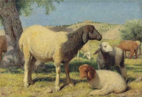 Schafe auf dem Berg Zion 1862
