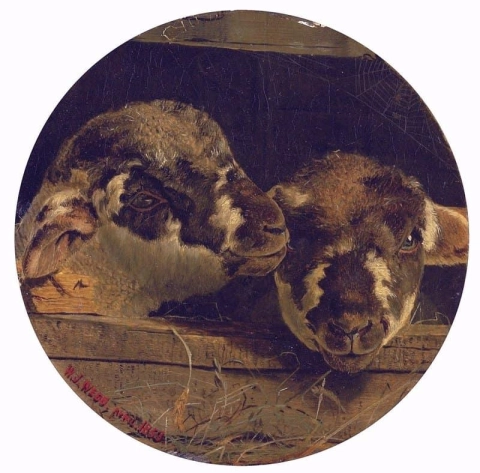 Two Lambs In A Barn 1853