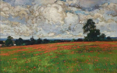 Wolken boven een veld met klaprozen 1899