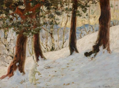 منظر طبيعي للشتاء مع أرنب جالس