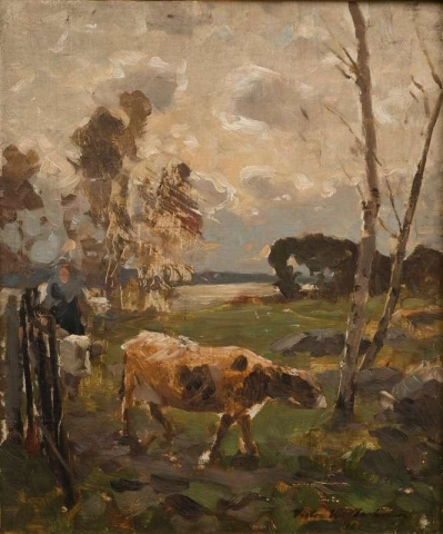 Vacas no prado