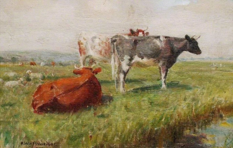 Kühe und Schafe auf einer Wasserwiese