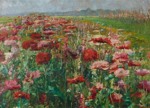 Blommande vallmo ca 1895-1900