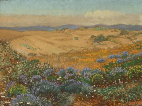 サンフランシスコの砂丘の野生の花