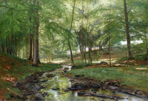 A Woodland Stream