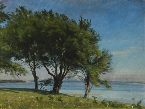 Kustscen med stora träd nära stranden 1908