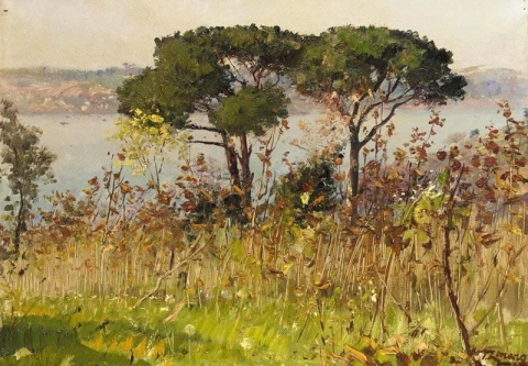 Dois pinheiros nas colinas acima de Beylerbeyi Istambul 1891-1910