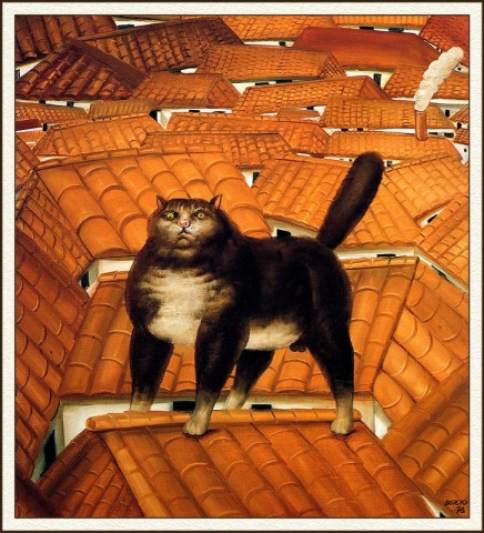 Kat op een dak