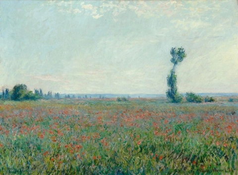 罂粟田，1881