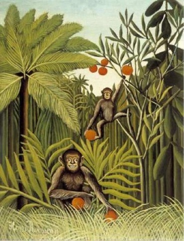 Monkeys in the jungle