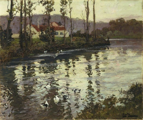 paisaje fluvial con patos