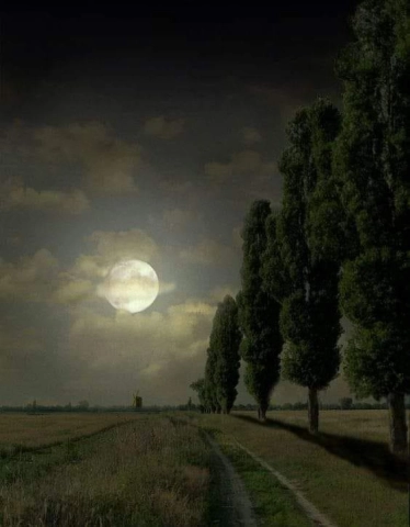 جينادي دنيبروف ليلة القمر