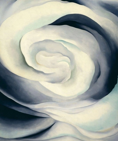 Abstrakti valkoinen ruusu, 1927