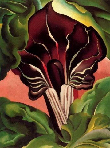 Jack-in-the-pulpit Ii 1930