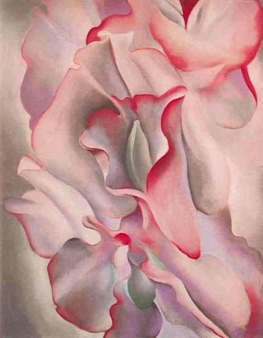 Guisantes de olor rosados 2 1927