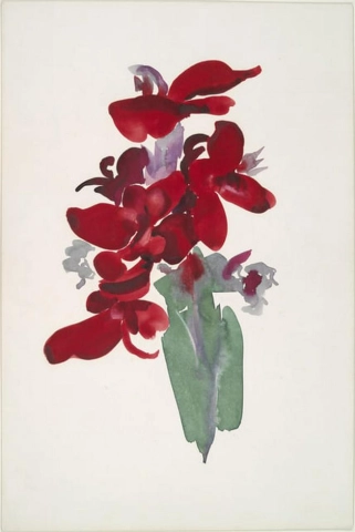 Red Canna, 1914