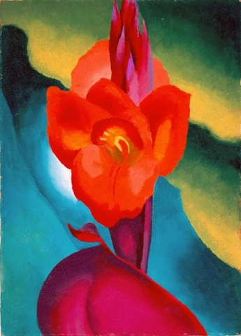 红美人蕉，1919