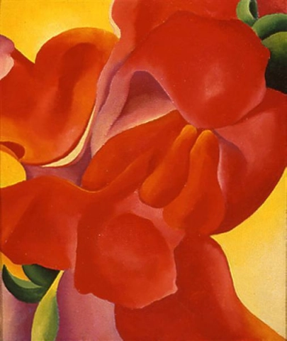 红美人蕉 1923