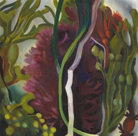 Seaweed 1923