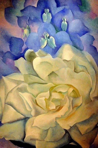 Witte roos met ridderspoor nr. 2 1927