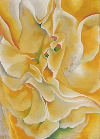Желтый душистый горошек C.1925