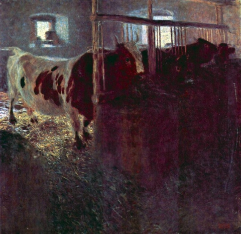 Коровы в стойле