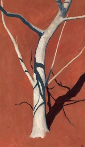 붉은 토양 앞의 한스 에메네거 무화과나무 1911