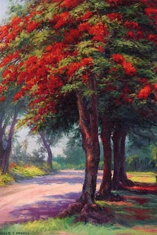 هيلين توماس درانجا، شجرة الجاكراندا