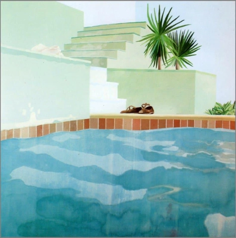 Swimming Pool And Steps - Le Nid Du Duc