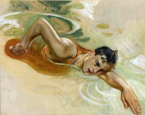 Study Of A Swimmer