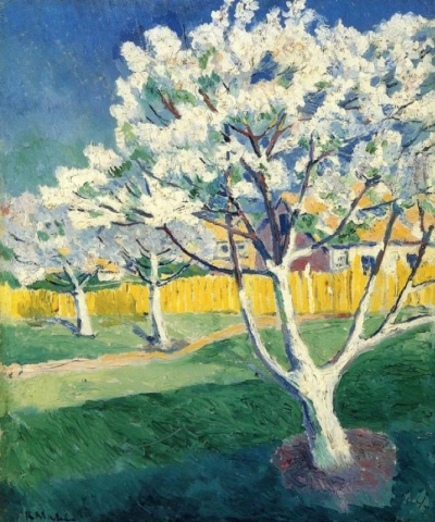 Appelboom in bloei